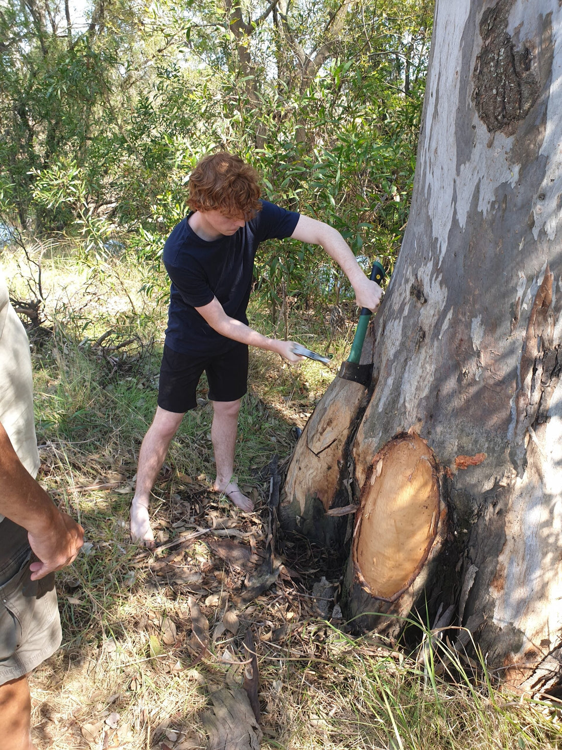 Middle Road, Purga - September 2023